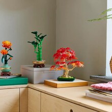 Конструктор LEGO Botanicals Бонсай из японского красного клена (10348)