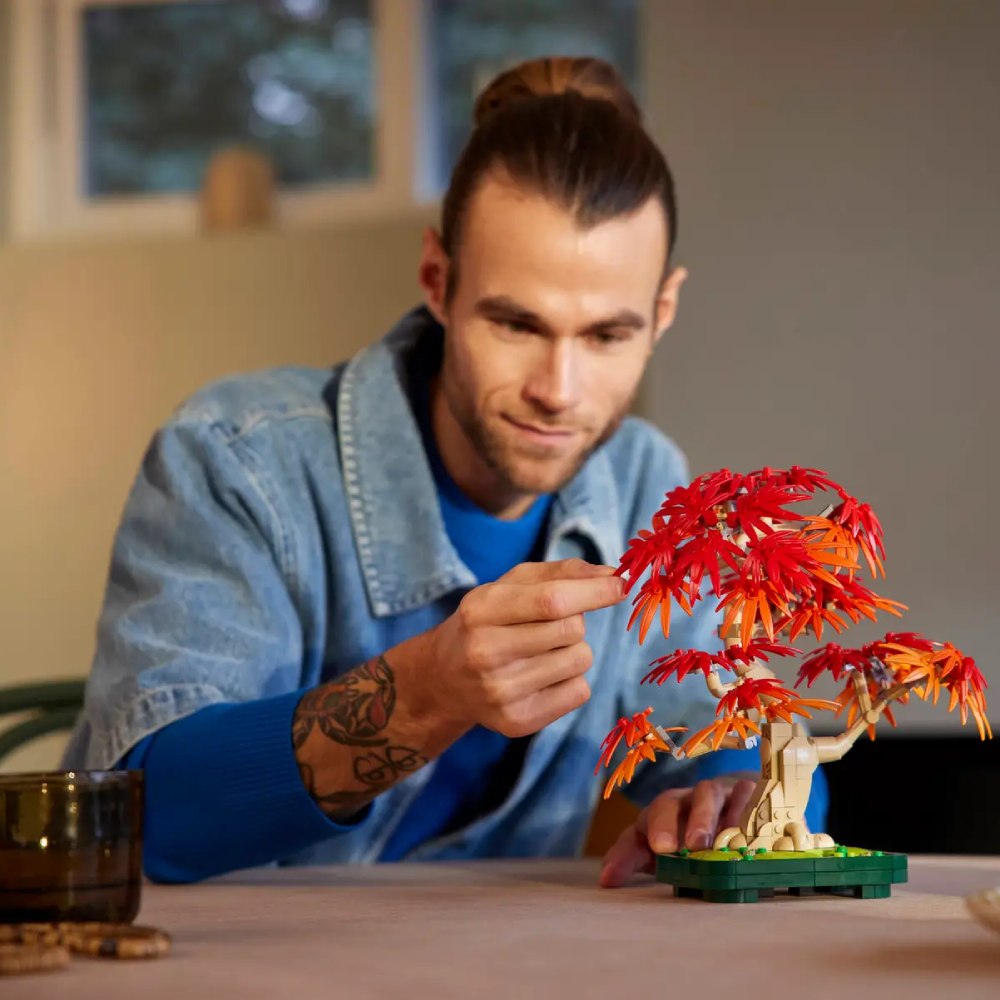 Изображение Конструктор LEGO Botanicals Бонсай из японского красного клена (10348)