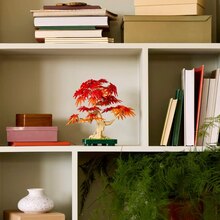 Конструктор LEGO Botanicals Бонсай из японского красного клена (10348)