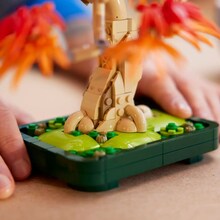 Конструктор LEGO Botanicals Бонсай из японского красного клена (10348)