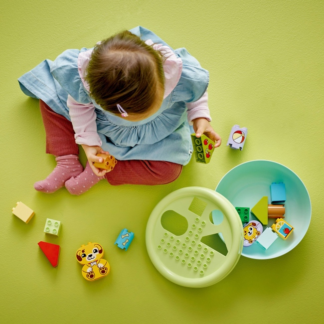 Конструктор LEGO DUPLO My First Сортировщик фигур: дом для щенков 17 деталей (10441) Серия Lego DUPLO