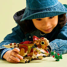 Конструктор LEGO Jurassic World Динозаврик Dolores: Аквілопс 339 ел (76970)