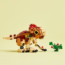 Конструктор LEGO Jurassic World Динозаврик Dolores: Аквілопс 339 ел (76970)