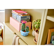 Конструктор LEGO Botanicals Цвітіння кактуса (11509)