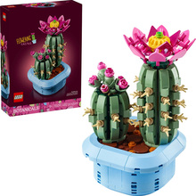 Конструктор LEGO Botanicals Цвітіння кактуса (11509)