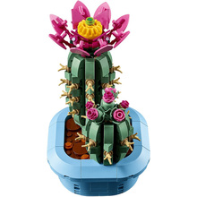 Конструктор LEGO Botanicals Цвітіння кактуса (11509)