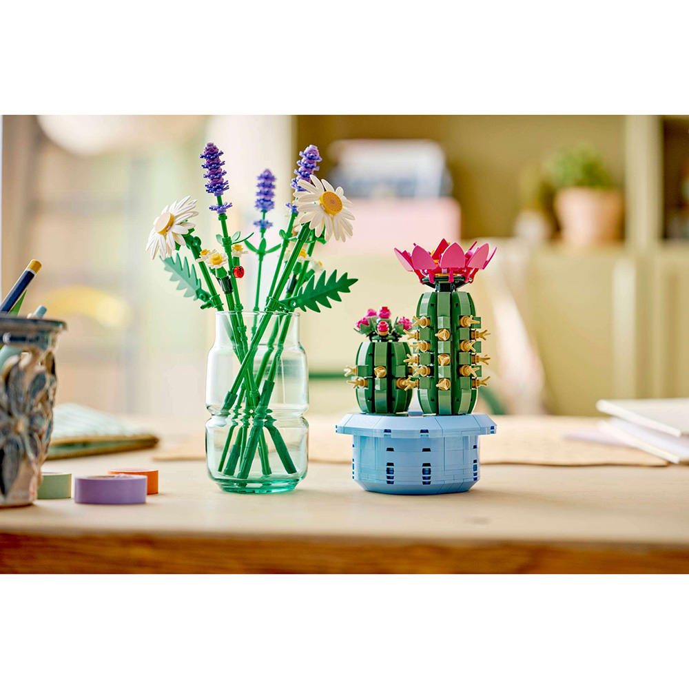 Зовнішній вигляд Конструктор LEGO Botanicals Цвітіння кактуса (11509)