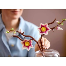 Конструктор LEGO Botanicals Ветки магнолии 435 эл (11510)