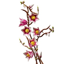 Конструктор LEGO Botanicals Ветки магнолии 435 эл (11510)