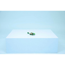 Конструктор LEGO Creator Черепаха з квіткою водяної лілії 124 деталі (31377)