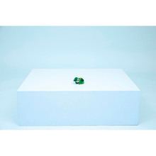 Конструктор LEGO Creator Черепаха з квіткою водяної лілії 124 деталі (31377)