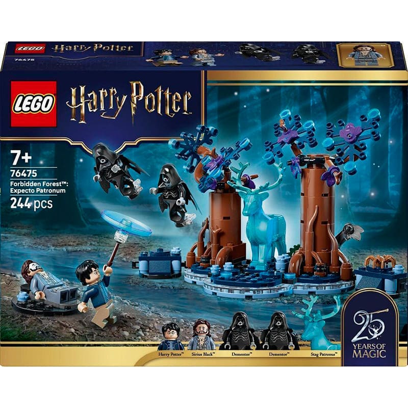 Конструктор LEGO Harry Potter Запретный лес: Экспекто патронум 244