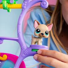 Игровой набор Littlest Pet Shop Шоу талантов (00558)