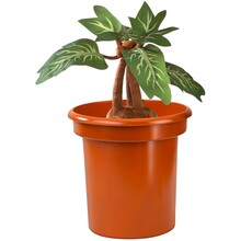 Іграшка плюшева інтерактивна NOBLE COLLECTION Harry Potter Mandrake 30см (NN8603)