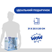Іграшка-нічник Chicco Ведмежа Блакитна (08015.20)