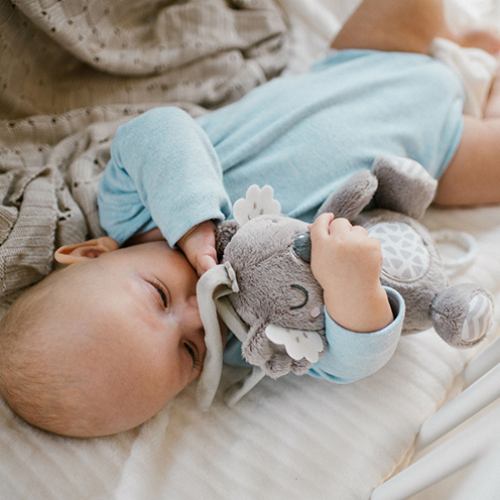 Музыкальная игрушка BABYONO Коала Коко (1632) Возраст с рождения