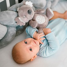 Мягкая игрушка BABYONO Коала Коко (1631)