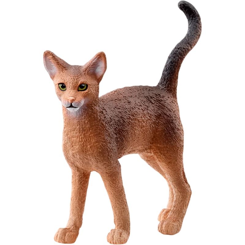 Фигурка Schleich Абиссинская кошка (13964)