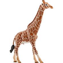 Фігурка SCHLEICH Жираф (14749)