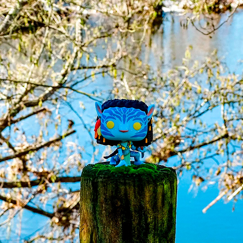 Фігурка FUNKO Аватар на Нейтирі (65642) Тип один предмет