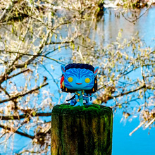 Фігурка FUNKO Аватар на Нейтирі (65642)