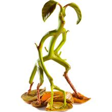 Фігурка FANTASTIC BEASTS Bowtruckle - Magical Creatures No. 2 (NN5250)