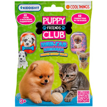 Фигурка-сюрприз COOL THINGS Puppy Club Мяу-Гав команда (PC062)