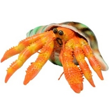 Фигурка Lanka Novelties Рак-отшельник с ракушкой 15 см (21658)