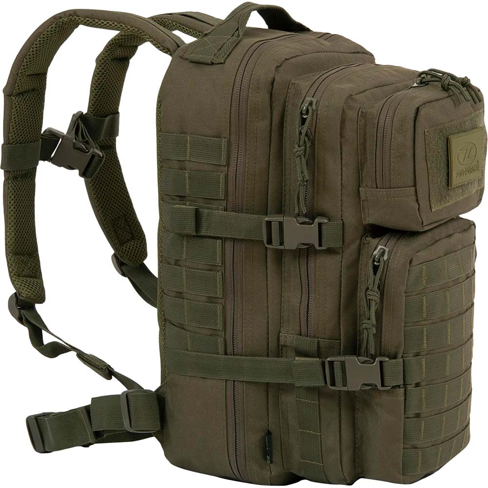 Рюкзак тактичний HIGHLANDER Recon Backpack 28L Olive (TT167-OG) Тип рюкзаки