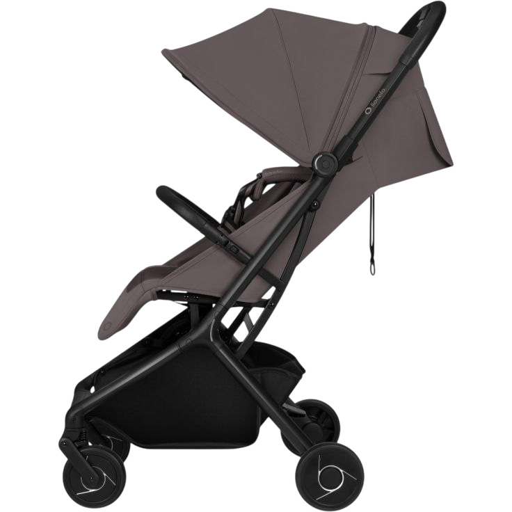 Коляска LIONELO TANSI BEIGE TAUPE Пол для девочек