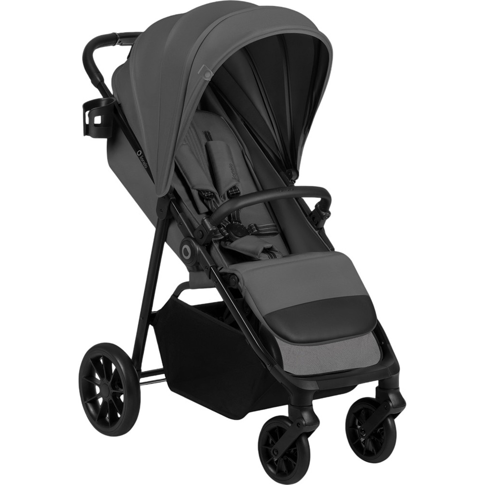 Прогулочная коляска LIONELO Emerald Grey Stone