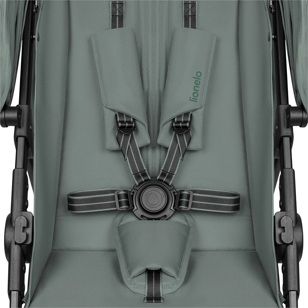 Внешний вид Прогулочная коляска LIONELO Emerald Green Forest