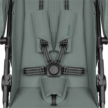 Прогулочная коляска LIONELO Emerald Green Forest