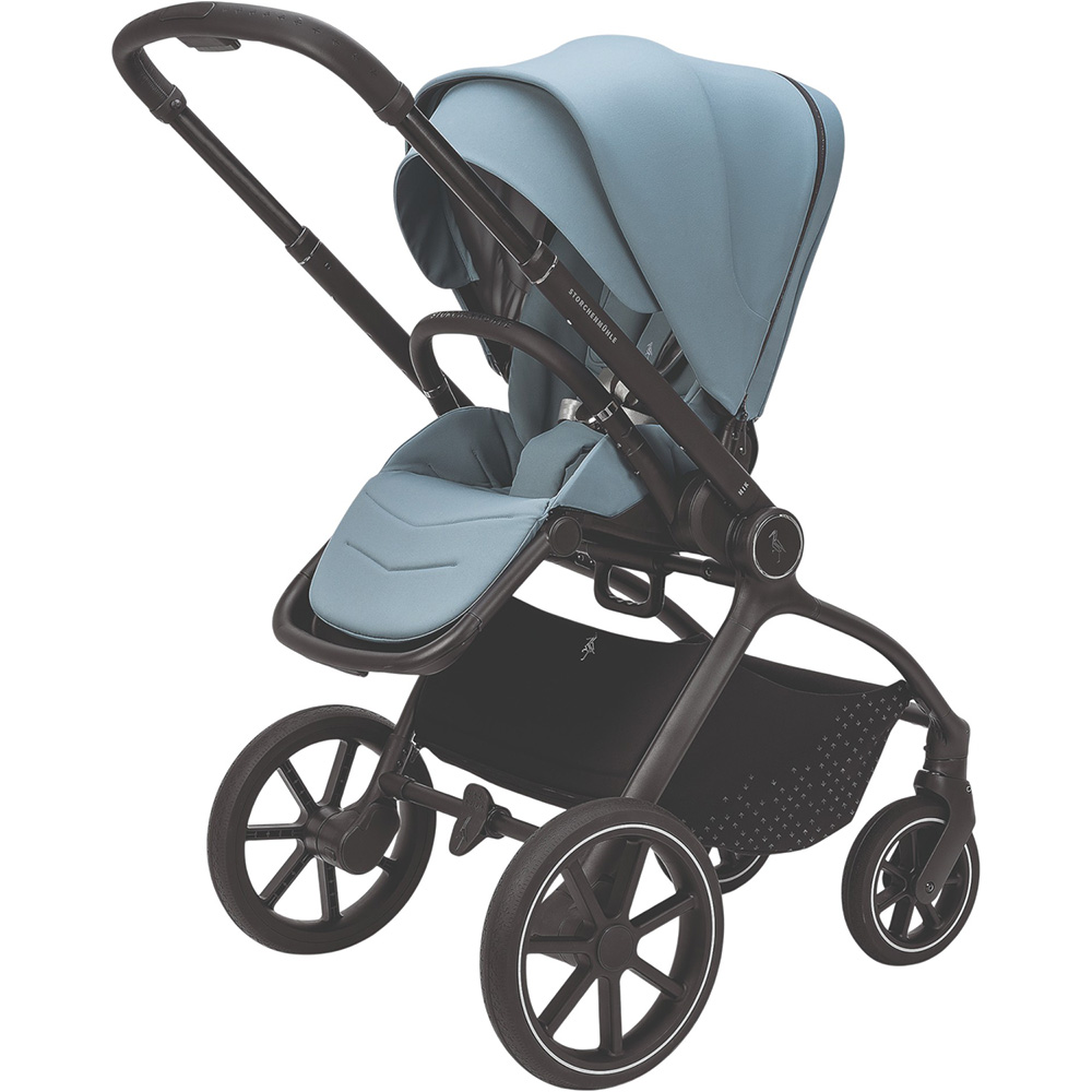 Прогулянковий візок STORCHENMUHLE Nik Mint (120-344-340) Тип прогулянкова