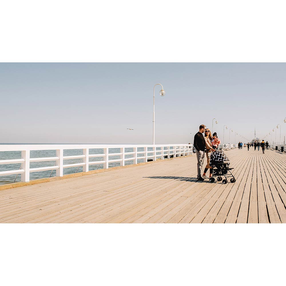 Прогулочная коляска Lionelo Elia Oslo (LO-ELIA OSLO BLACK/WHITE) Количество мест одноместная