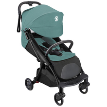 Коляска прогулочная GLOBBER STROLL.LITE (925-105)
