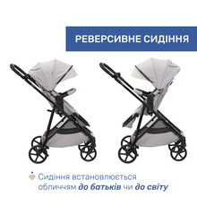 Коляска універсальна CHICCO Seety 2 в 1 Grey (87097.53.01)