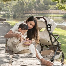 Коляска прогулянкова BRITAX-ROMER FLYLITE Teak (2000041983)