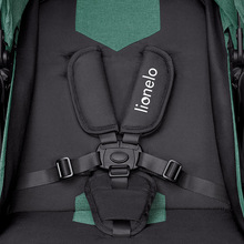 Візок прогулянковий LIONELO Zoey Green Forest (LO-ZOEY GREEN FOREST)