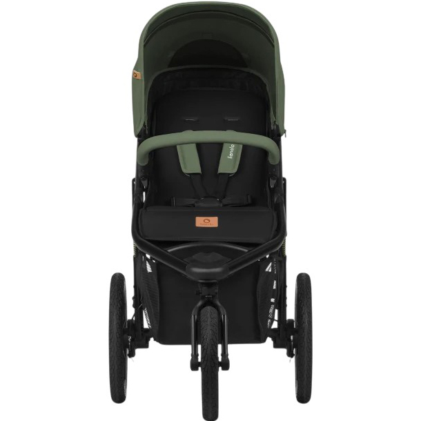 Прогулочная коляска LIONELO Azura Green Forest (LO-Azura Green Forest) Пол для девочек