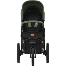 Прогулочная коляска LIONELO Azura Green Forest (LO-Azura Green Forest)