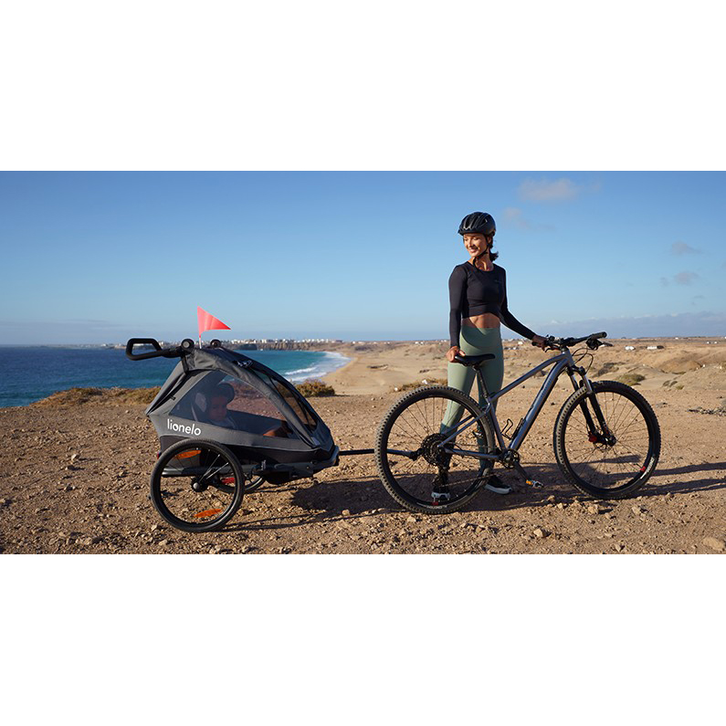 Покупка Прогулочная коляска LIONELO Cama Grey Stone (LO-Cama Grey Stone)