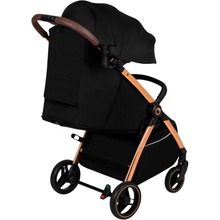 Прогулочная коляска LIONELO Ingrid Black Onyx (LO-INGRID BLACK ONYX)