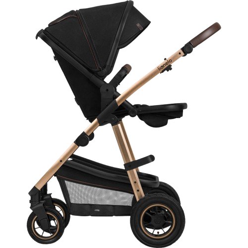 Коляска универсальная 2 в 1 LIONELO AMBER 2 Black Onyx (LO-AMBER 2 BLACK ONYX) Пол для девочек