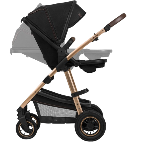 Коляска универсальная 2 в 1 LIONELO AMBER 2 Black Onyx (LO-AMBER 2 BLACK ONYX) Пол для мальчиков