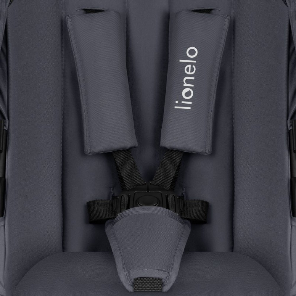 Фото 20 Візок Lionelo Amber Plus 2 в 1 Grey Graphite