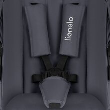 Візок Lionelo Amber Plus 2 в 1 Grey Graphite