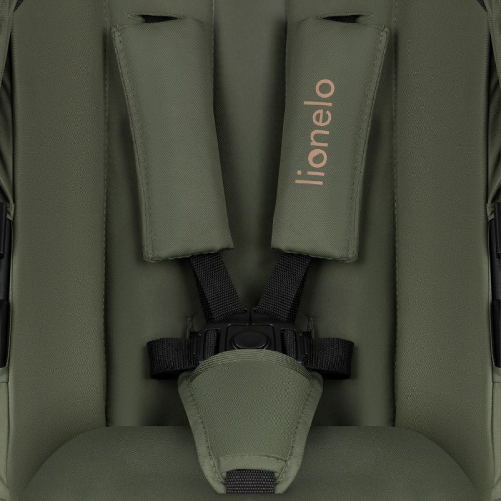 Фото 18 Коляска Lionelo Amber Plus 3 в 1 Green Forest