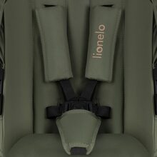 Коляска Lionelo Amber Plus 3 в 1 Green Forest