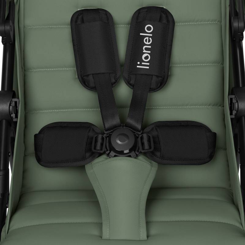 Фото Прогулочная коляска Lionelo Iva Green Forest